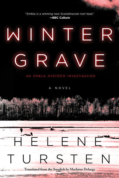 Cover for Helene Tursten · Winter Grave (Hardcover Book) (2019)