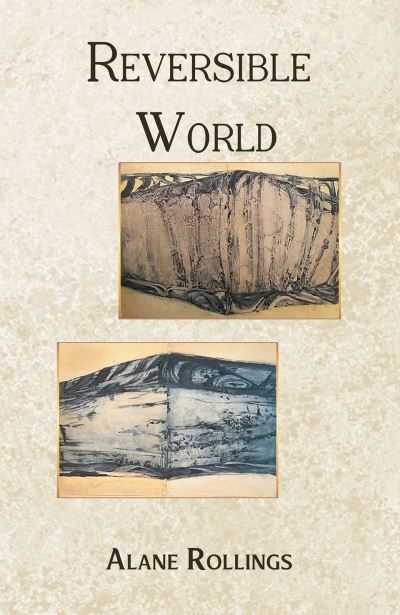 Cover for Alane Rollings · Reversible World (Hardcover Book) (2022)