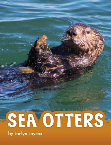 Cover for Jaclyn Jaycox · Sea Otters (Hardcover Book) (2022)