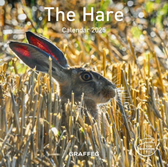 The The Hare Calendar 2025 - Hare Preservation Trust - Gadżety - Graffeg Limited - 9781802587760 - 2 września 2024