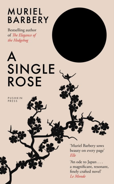 Cover for Muriel Barbery · A Single Rose (Taschenbuch) (2025)