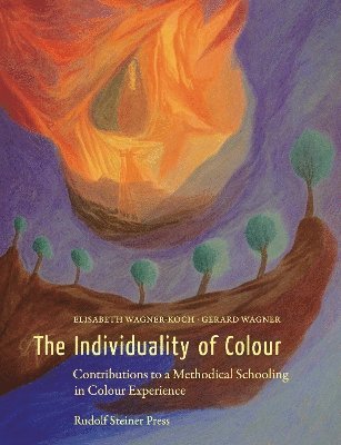 The Individuality of Colour: Contributions to a Methodical Schooling in Colour Experience - Elisabeth Wagner-Koch - Bøger - Rudolf Steiner Press - 9781855846760 - 21. april 2025