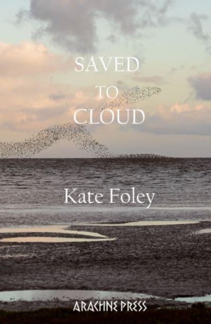 Cover for Kate Foley · Saved to Cloud (Paperback Book) (2023)