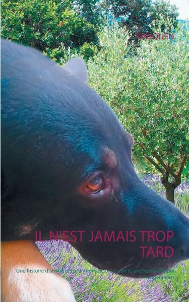 Cover for Rimiquen · Il n'est jamais trop tard (Bok) (2019)