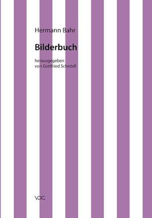 Cover for Hermann Bahr · Kritische Schriften in Einzelausgaben / Bilderbuch (Paperback Book) (2011)