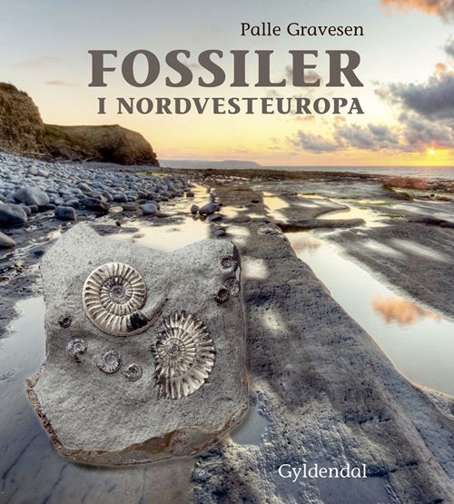 Cover for Palle Gravesen · Fossiler i Nordvesteuropa (Bound Book) [1.º edición] (2018)