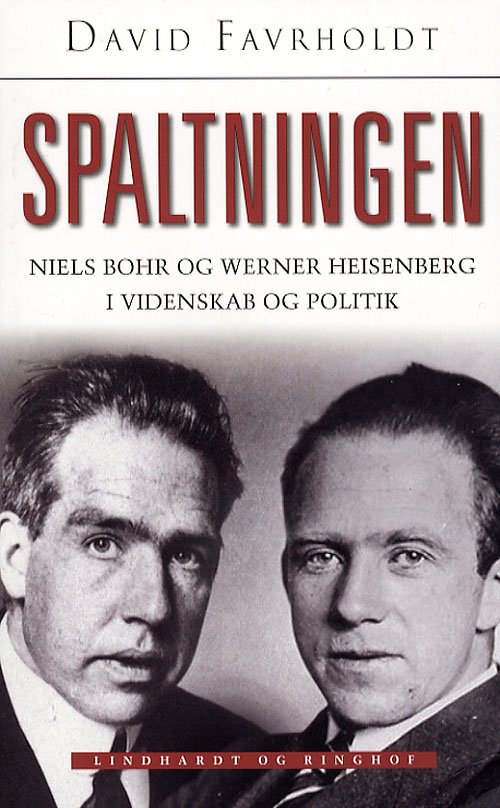 Cover for David Favrholdt · Spaltningen (Paperback Book) [2. Painos] (2006)