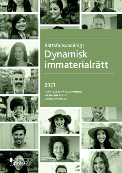 Cover for Marianne Levin · Rättsfallssamling i Dynamisk immaterialrätt (Book) (2021)