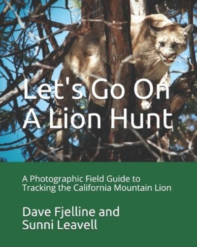 Dave Fjelline · Let's Go On A Lion Hunt (Paperback Book) (2021)