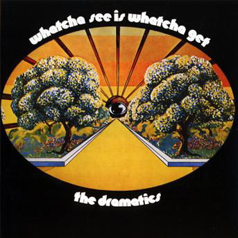 Cover for Dramatics · Whatcha See is Whatcha Get (CD) [Bonus Tracks edition] (2011)