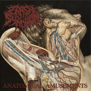 Cover for Crash Syndrom · Anatomical Amusements (CD) [Japan Import edition] (2018)