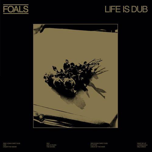 Life is Yours (Dub) [gold] - Foals - Musikk - WEA INTERNATIONAL - 5054197405761 - 22. april 2023