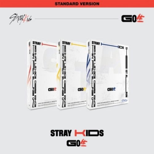 VOL.1 [GO] - STRAY KIDS - Música - JYP ENTERTAINMENT - 8809440339761 - 18 de junho de 2020