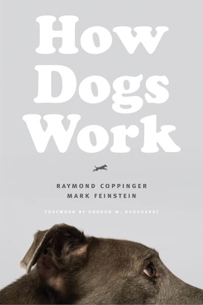 Cover for Raymond Coppinger · How Dogs Work (Paperback Book) (2019)