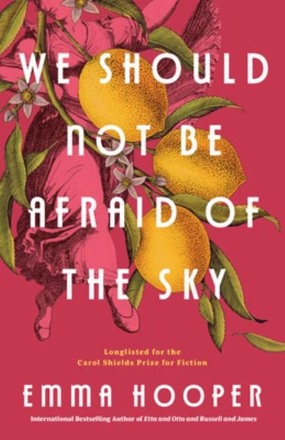 Cover for Emma Hooper · We Should Not Be Afraid Of The Sky (Paperback Book) (2023)