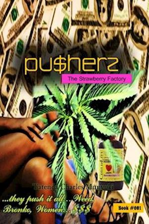 Cover for Tatenda Charles Munyuki · Pusherz (Book) (2016)