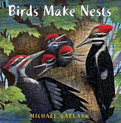 Cover for Michael Garland · Birds Make Nests (Paperback Book) (2019)