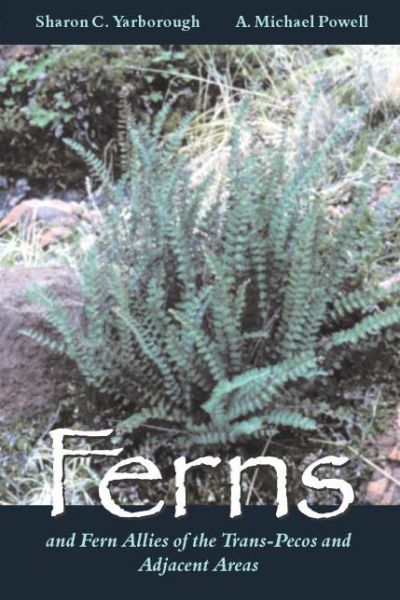 Cover for Sharon C. Yarborough · Ferns and Fern Allies of the Trans-Pecos and Adjacent Areas (Paperback Book) (2002)