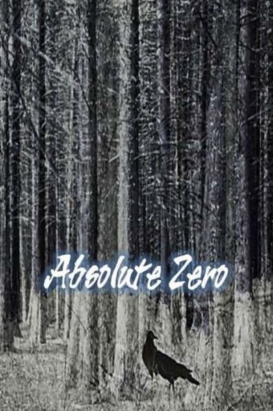 Cover for Keaton Foster · Absolute Zero (Paperback Book) (2013)