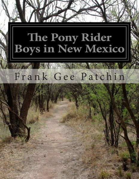 The Pony Rider Boys in New Mexico - Frank Gee Patchin - Books - Createspace - 9781500246761 - June 20, 2014