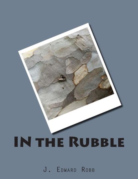 Cover for J Edward Robb · In the Rubble (Taschenbuch) (2014)