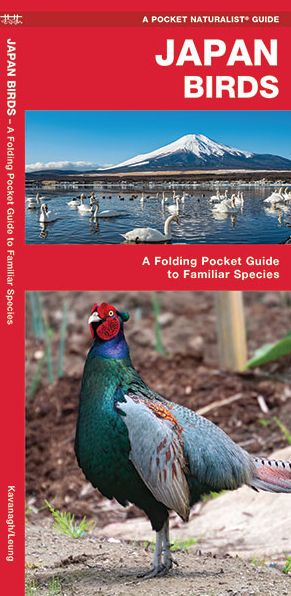 Cover for James Kavanagh · Japan Birds: A Folding Pocket Guide to Familiar Species (Pamphlet) (2017)