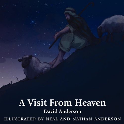 Cover for David Anderson · A Visit from Heaven (Taschenbuch) (2012)