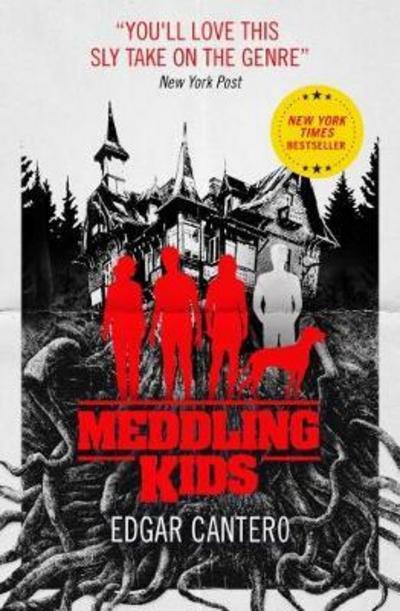 Cover for Edgar Cantero · Meddling Kids (Paperback Book) (2018)
