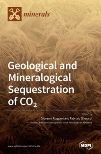 Cover for Giovanni Ruggieri · Geological and Mineralogical Sequestration of CO2 (Hardcover Book) (2020)
