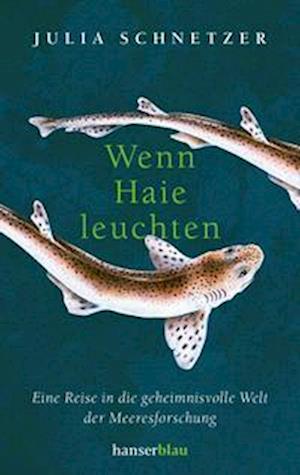 Cover for Julia Schnetzer · Wenn Haie leuchten (Buch) (2022)