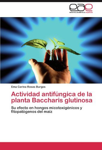Cover for Ema Carina Rosas Burgos · Actividad Antifúngica De La Planta Baccharis Glutinosa: Su Efecto en Hongos Micotoxigénicos Y Fitopatógenos Del Maíz (Pocketbok) [Spanish edition] (2012)