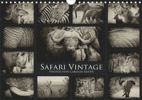 Cover for Barth · Safari Vintage (Wandkalender 2021 (Book)