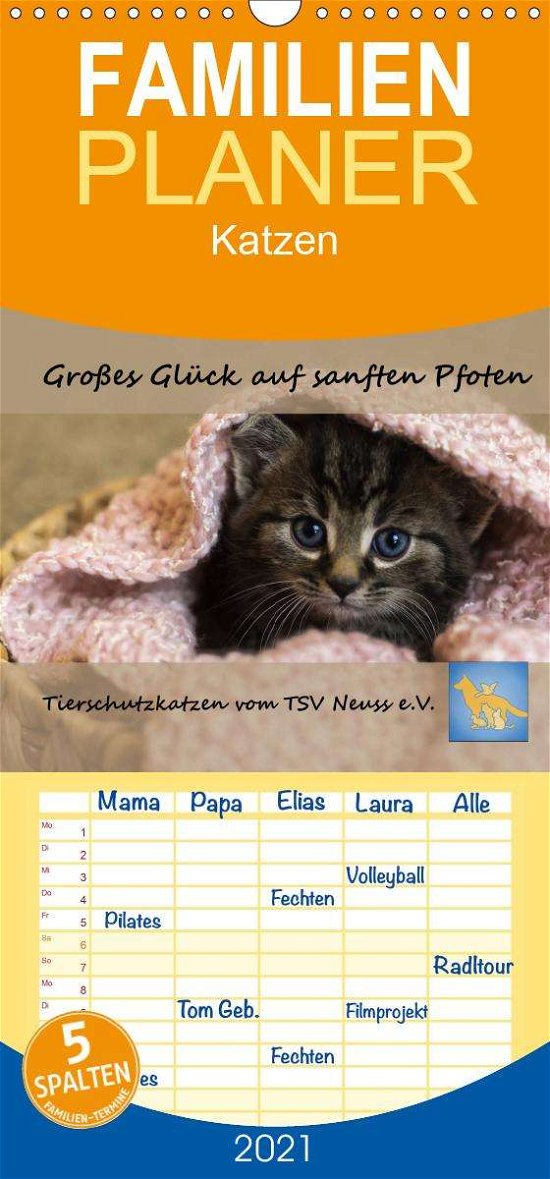 Tierschutzkatzen vom TSV-Neuss - Groß - B - Books -  - 9783672192761 - 