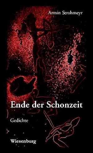 Cover for Armin Strohmeyr · Ende der Schonzeit (Hardcover Book) (2015)