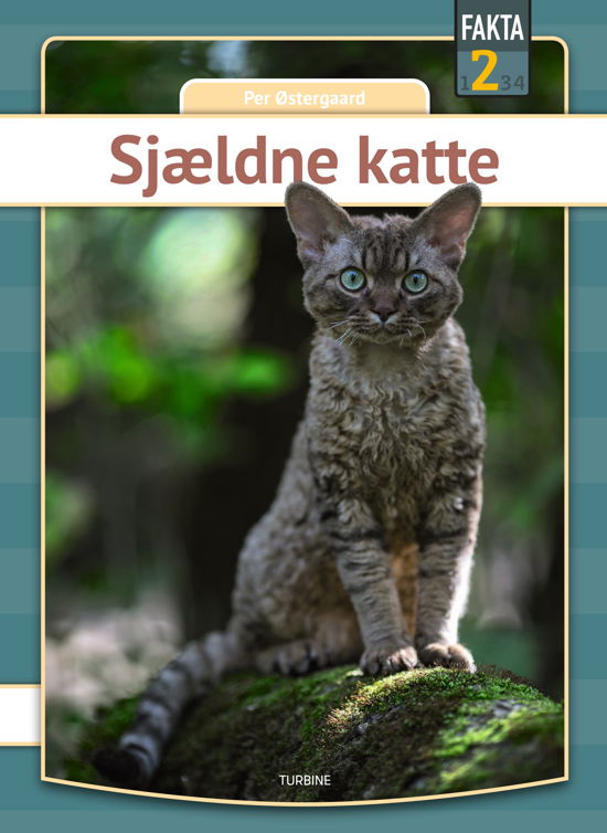 Cover for Per Østergaard · Fakta 2: Sjældne katte (Hardcover Book) [1.º edición] (2024)