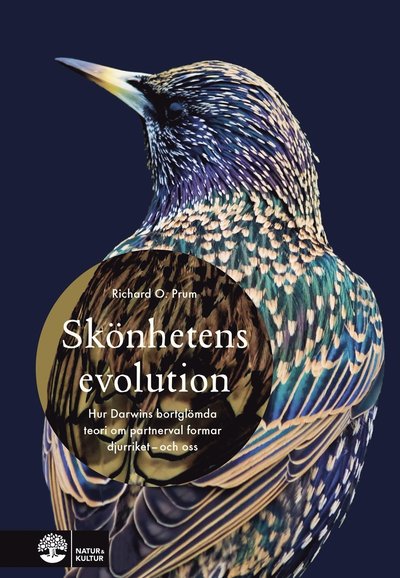 Skönhetens evolution : hur Darwins bortglömda teori om det sexuella urvalet formar djurriket - och oss - Richard O. Prum - Books - Natur & Kultur Allmänlitteratur - 9789127162761 - October 9, 2019