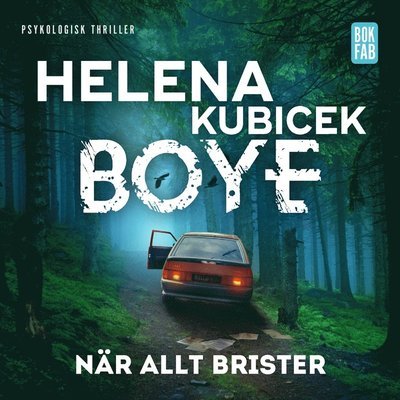 Cover for Helena Kubicek Boye · Anna Varga: När allt brister (Audiobook (MP3)) (2021)