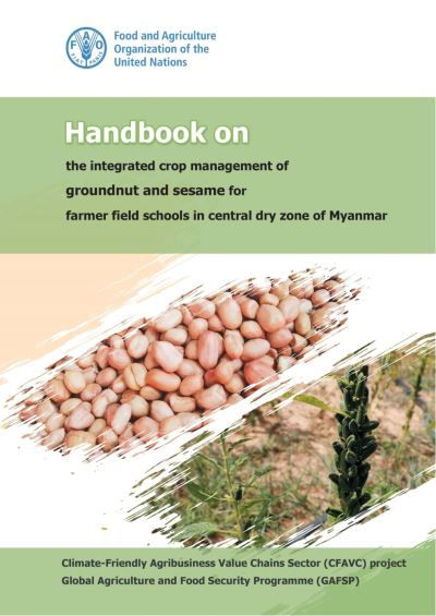 Cover for Food and Agriculture Organization · Handbook on the integrated crop management of groundnut and sesame for farmer field schools in central dry zone of Myanmar (Paperback Bog) (2022)