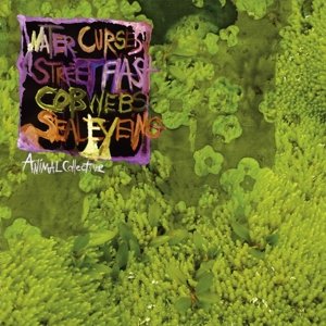 Cover for Animal Collective · Water Curses (12&quot;) (2008)