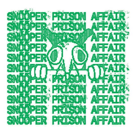 Cover for Snooper &amp; Prison Affair · Split (LP) (2024)