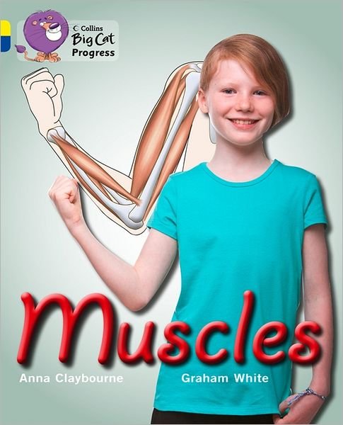 Cover for Anna Claybourne · Muscles: Band 03 Yellow / Band 16 Sapphire - Collins Big Cat Progress (Paperback Book) (2012)