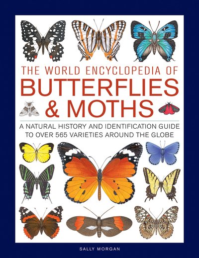 Cover for Sally Morgan · Butterflies &amp; Moths, The World Encyclopedia of: A natural history and identification guide to over 565 varieties around the globe (Hardcover bog) (2019)