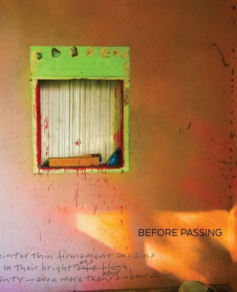 Cover for David Lawton · Before Passing (Paperback Book) (2015)