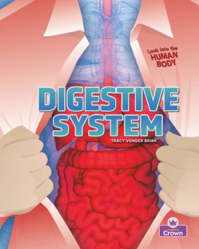 Cover for Tracy Vonder Brink · Digestive System - Looking into the Human Body (Paperback Book) (2023)