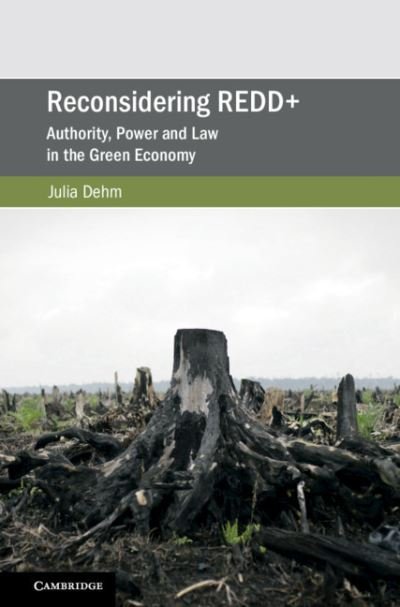 Cover for Dehm, Julia (La Trobe University, Victoria) · Reconsidering REDD+: Authority, Power and Law in the Green Economy - Cambridge Studies on Environment, Energy and Natural Resources Governance (Innbunden bok) (2021)