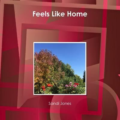 Cover for Sandi Jones · Feels Like Home (Paperback Book) (2017)