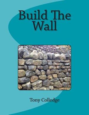 Cover for Tony Colledge · Build the Wall (Paperback Book) (2014)