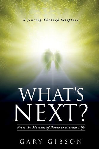 Cover for Gary Gibson · What's Next? (Taschenbuch) (2013)