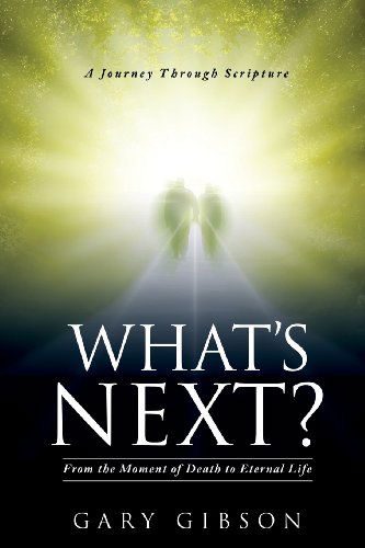 Cover for Gary Gibson · What's Next? (Paperback Book) (2013)