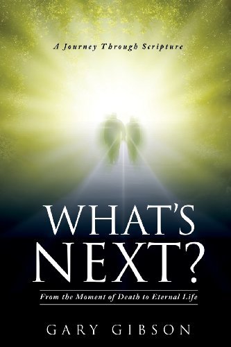 Cover for Gary Gibson · What's Next? (Pocketbok) (2013)
